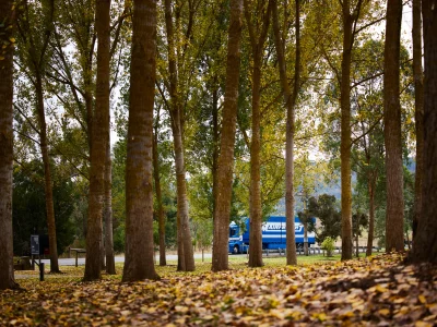 Sustainable Mainfreight Truck drive through forest